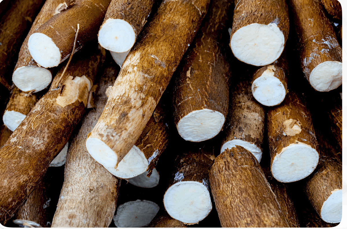Raw Cassava