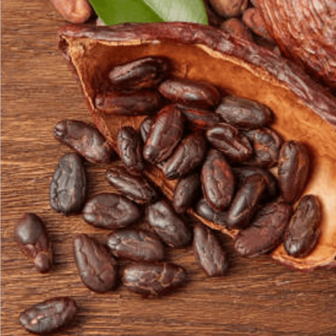 Cocoa Beans