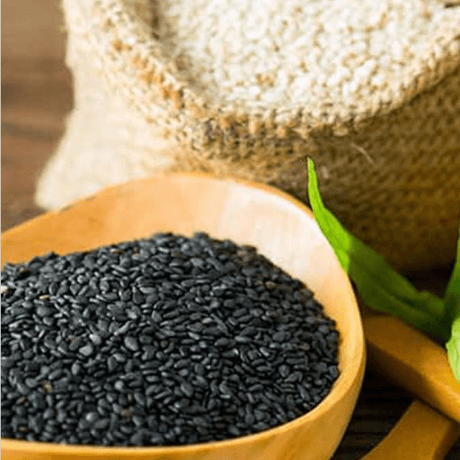 Sesame Seed